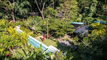 Un área de piscina rodeada de abundante vegetación y varios edificios con techos oscuros.