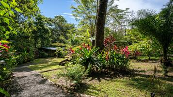 A garden with a gravel path, various plants, and a building in the background.