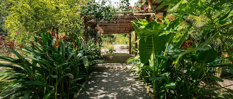 Un sentier de jardin mène à une pergola en bois, d’où l’on peut admirer un bâtiment en arrière-plan.