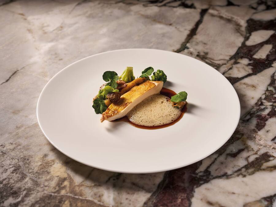 Un plato blanco con un trozo de pescado, verduras y una salsa sobre una superficie de mármol.