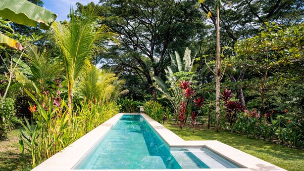 Ein rechteckiger Swimmingpool mit klarem, blauem Wasser, umgeben von üppiger Vegetation und verschiedenen tropischen Pflanzen.
