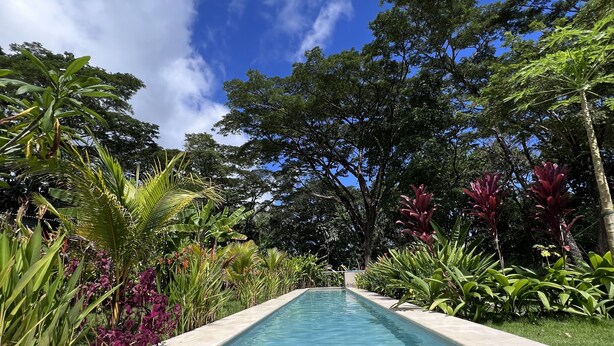 A clear blue pool surrounded by lush greenery and trees. - Feeling Trees Jungle Lodge-Casa Caracoles walking distance to the beach (Cabuya)