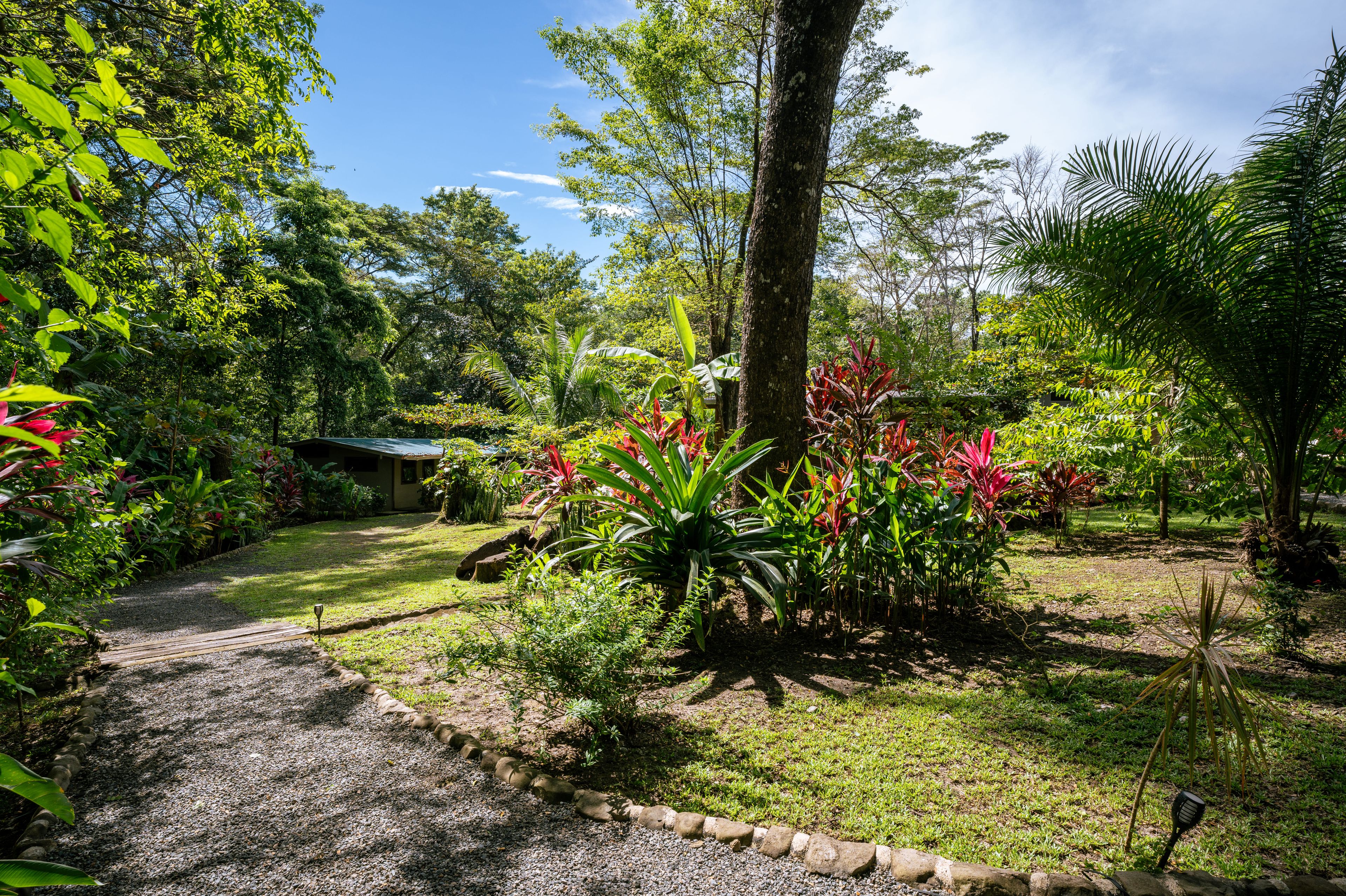 Un jardín con un camino de grava, diversas plantas y un edificio al fondo.