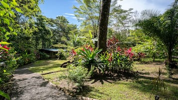 Un jardín con un camino de grava, diversas plantas y un edificio al fondo.