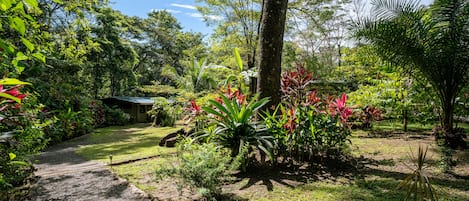 A garden with a gravel path, various plants, and a building in the background.