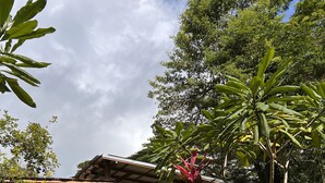 A garden pathway leading to a wooden structure with a roof, surrounded by lush tropical plants and trees. - Feeling Trees Jungle Lodge-Casa Caracoles walking distance to the beach (Cabuya)