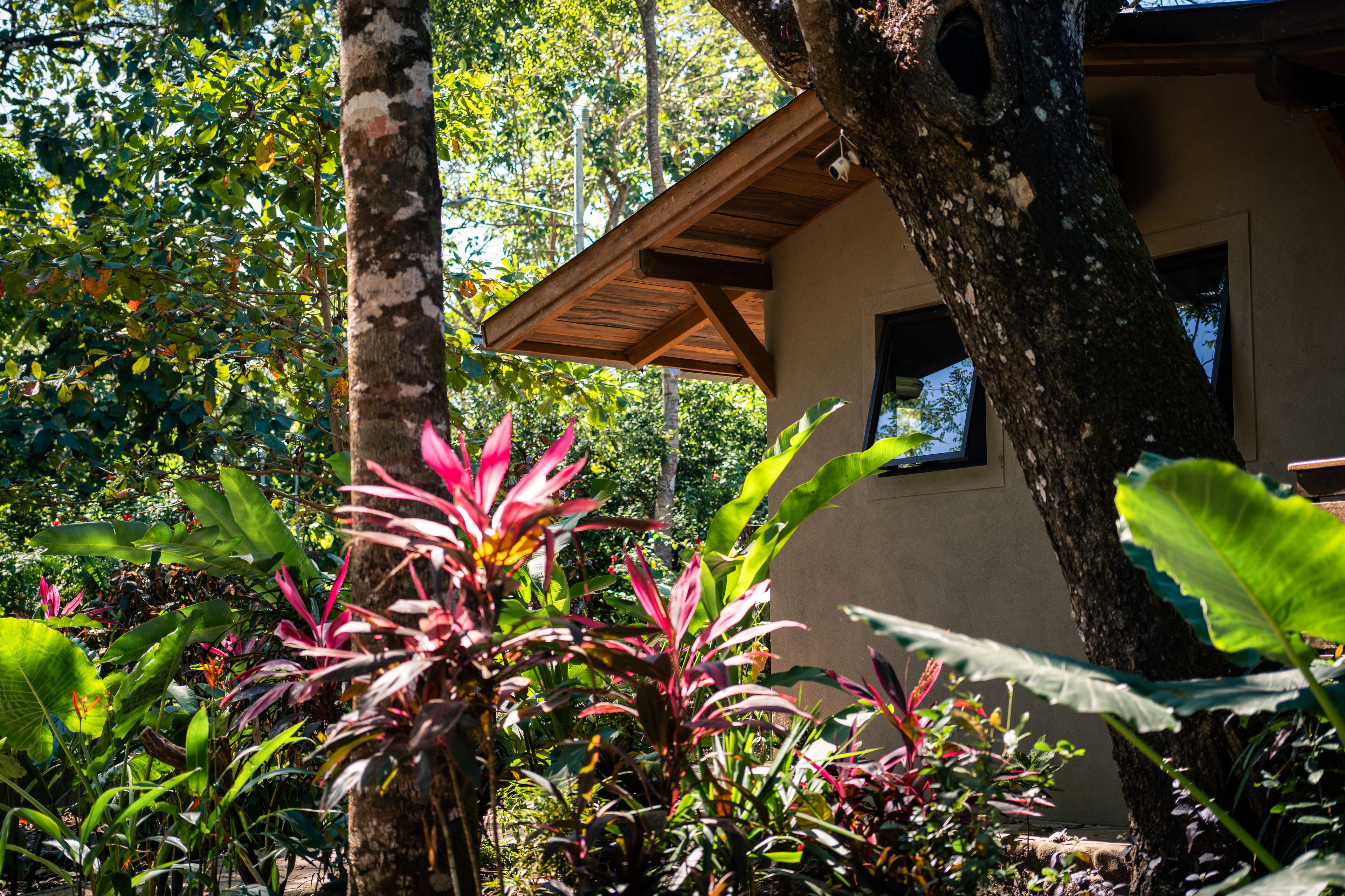 Un bâtiment doté d’un toit en bois, entouré d’une végétation luxuriante et d’arbres.