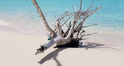 Beachfront views of pristine sandy beach, clear blue waters and surreal sunsets.