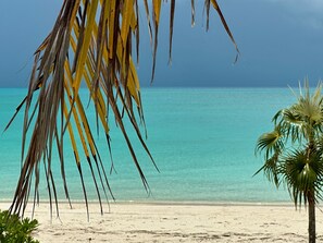 A beach with clear turquoise water, a sandy shore, and palm trees.