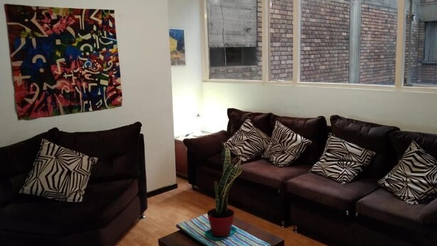 Un salon avec deux canapés de couleur marron foncé, dont l’un est agrémenté de coussins à motifs zébrés, et une seule plante en pot posée sur une table basse en bois.