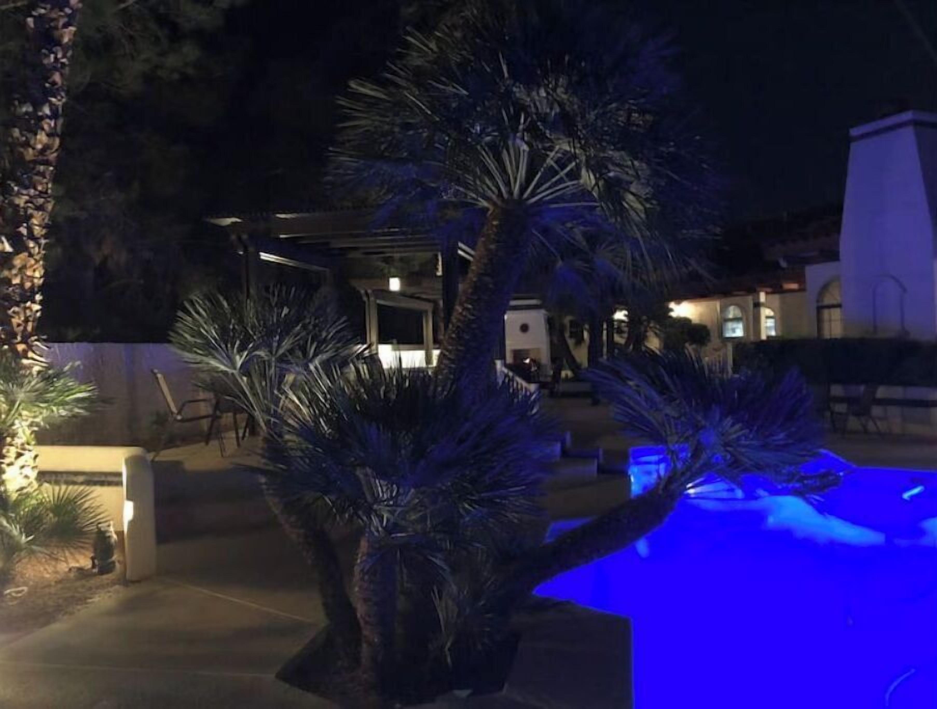 室外  泳池、暖水池