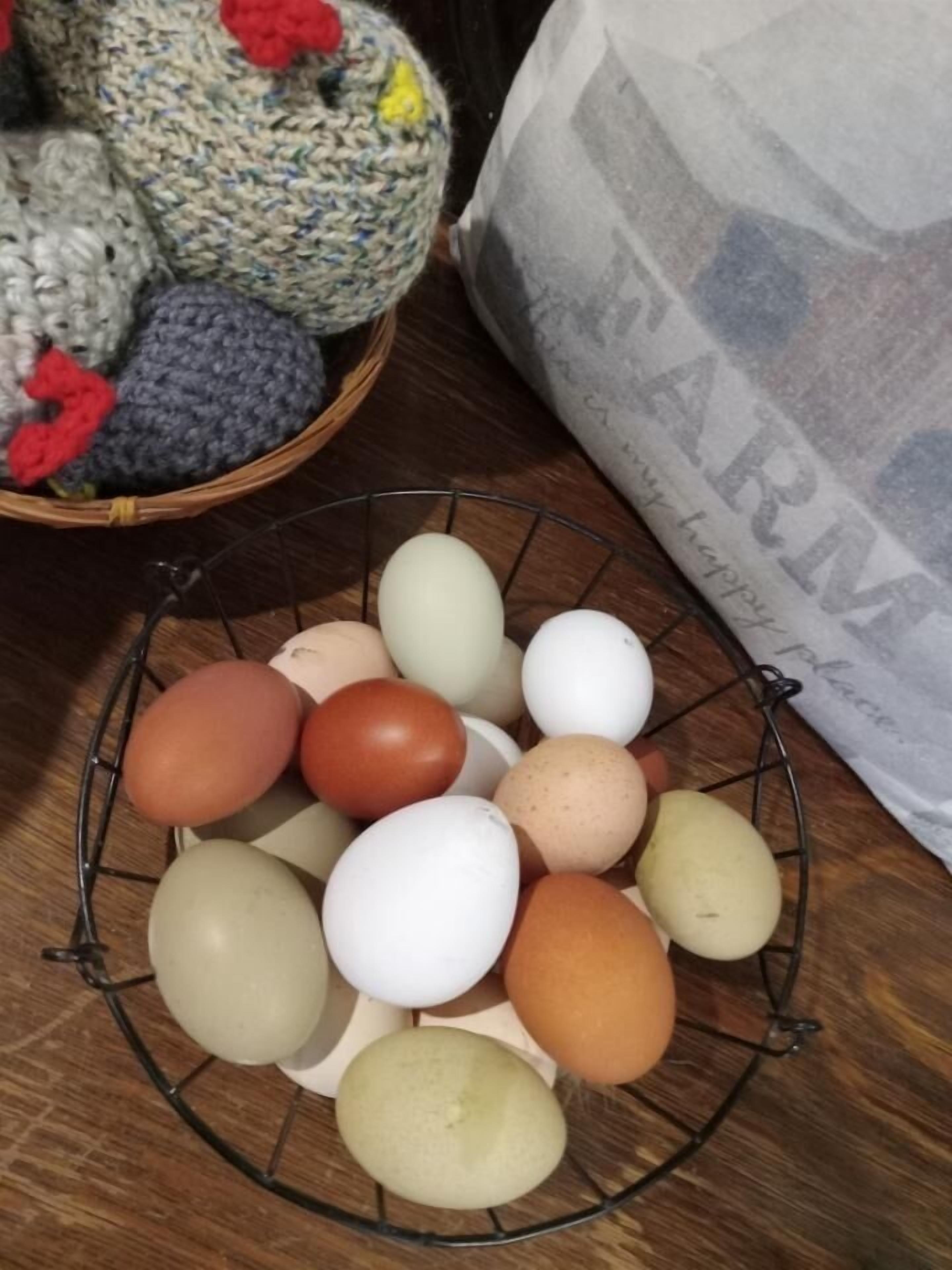 Alimentação e bebidas