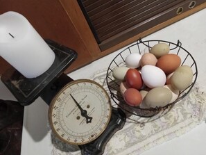 Alimentos y bebidas