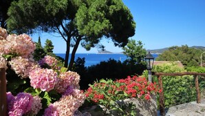 A garden with pink and red flowers, a lamp post, and a view of the sea.