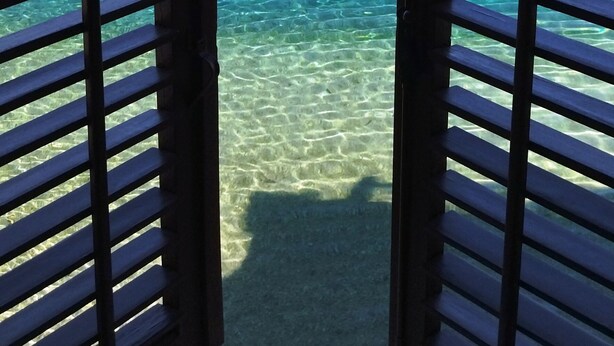 A view through open wooden shutters to a clear blue sea with visible underwater terrain. - Beach rooms Riviera (Makarska)
