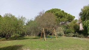 Un’altalena di legno in un prato verdeggiante, con alberi e un edificio sullo sfondo.