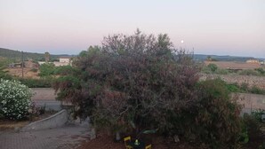 Zona patio con tavolo e sedie, circondata da vegetazione e vista sulla campagna.
