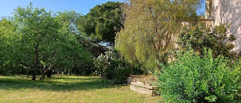 A garden with various trees and shrubs, a stone wall, and a building in the background.
