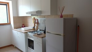 Una cucina compatta con fornello a gas, forno e frigorifero.