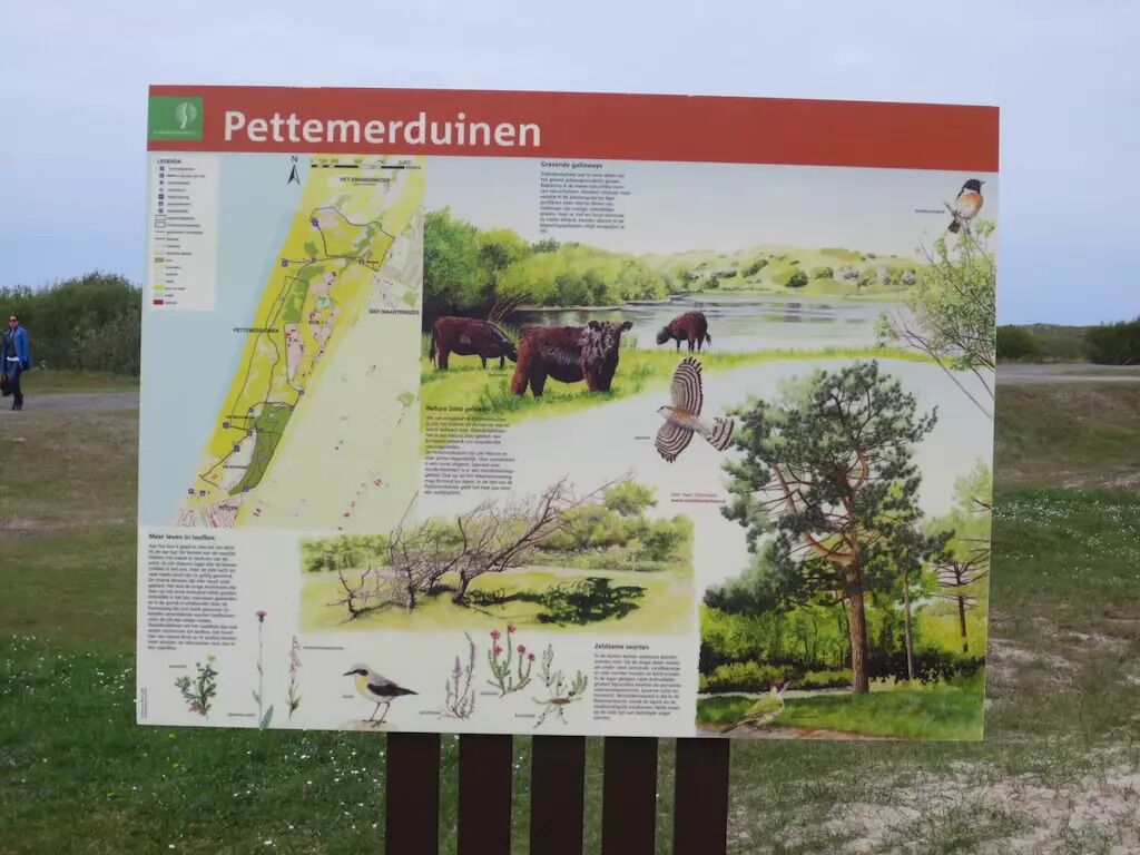 Ein detailliertes Informationsschild über Pettemerdenuinen mit einer Karte, Tierdarstellungen und Beschreibungen der Umgebung.
