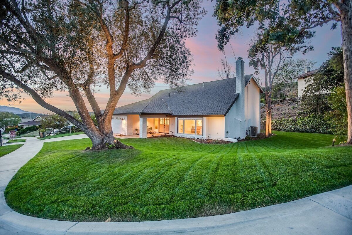 Conejo Oasis! Summary