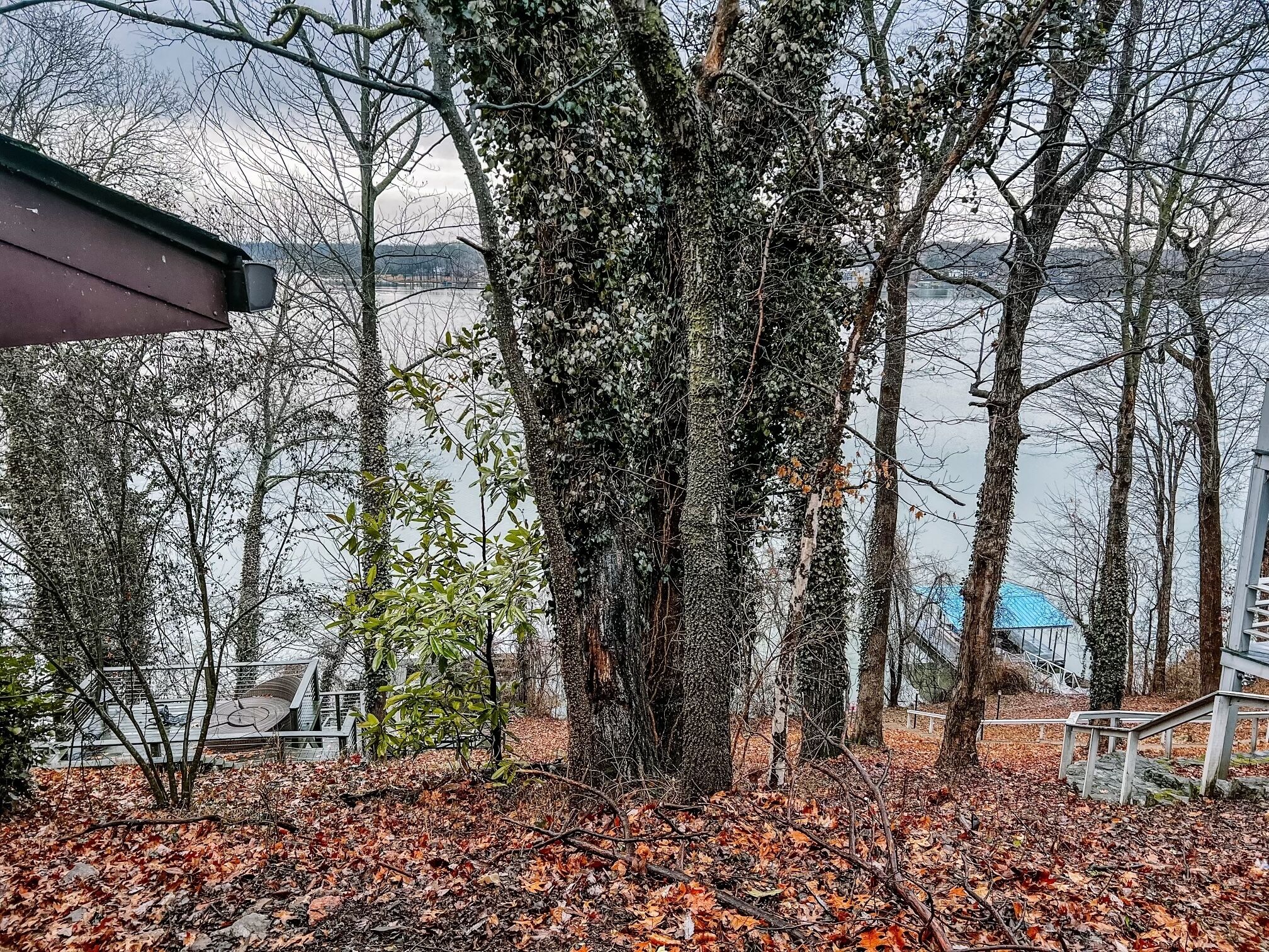 Tiny house on Lake with AHMAZING view!