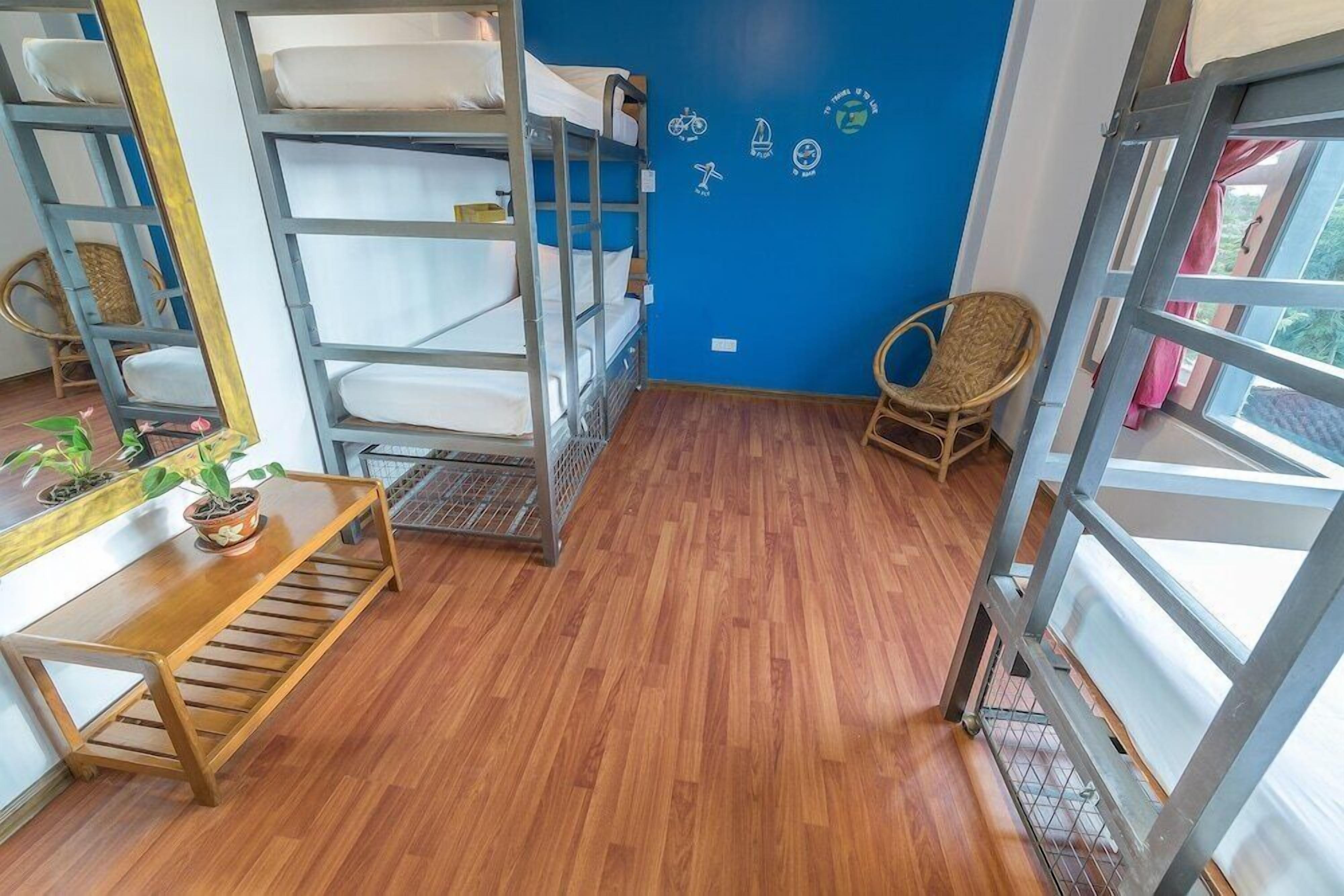 A dormitory room with bunk beds, a wooden table with a plant, and a blue wall with travel-related decorations.