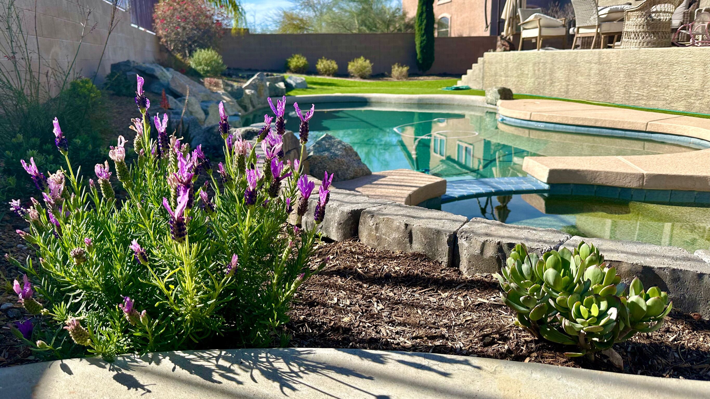 حمّام سباحة خارجي، حمّام سباحة مُدفَّأ