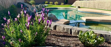 Alberca al aire libre y alberca climatizada