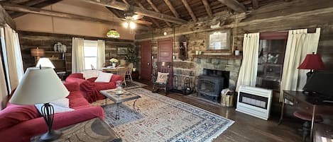 TV, fireplace, books