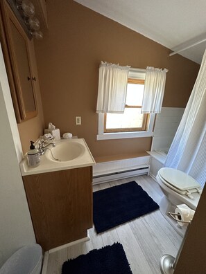 Hair dryer, towels, soap, shampoo