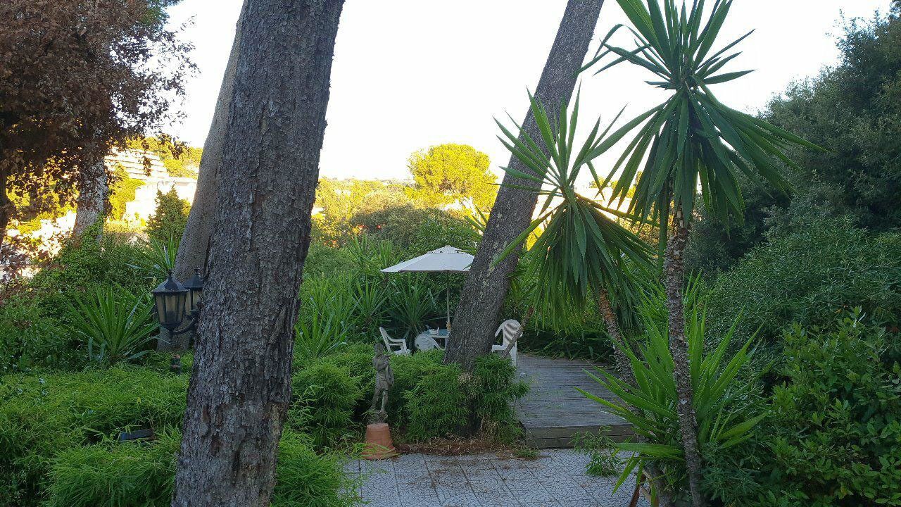 Atelier d'artiste : en ville, dans la nature, maison, jardin, parking