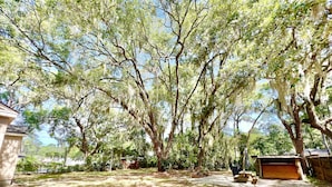 Un vaste espace extérieur doté d’un chemin de gravier, entouré d’arbres majestueux dont les branches sont ornées de mousse pendant.