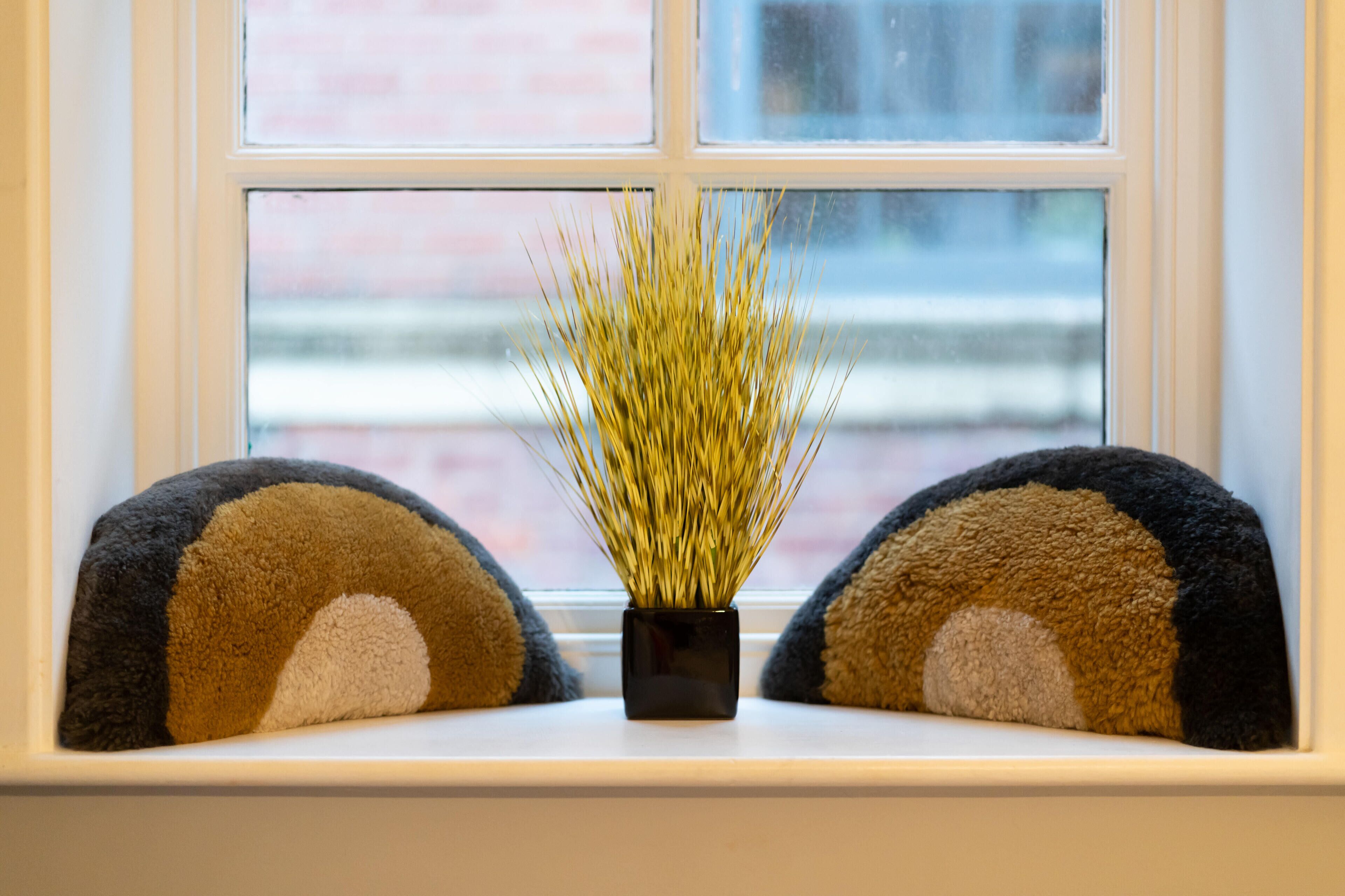 A window with a potted plant and two decorative pillows.