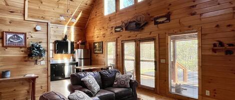 Smart TV, fireplace, video games