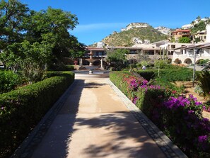 Property grounds - Pedregal Suites (Cabo San Lucas)