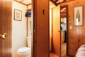 Un interior de madera con un inodoro blanco, una puerta con un gancho negro y un cuadro en la pared.