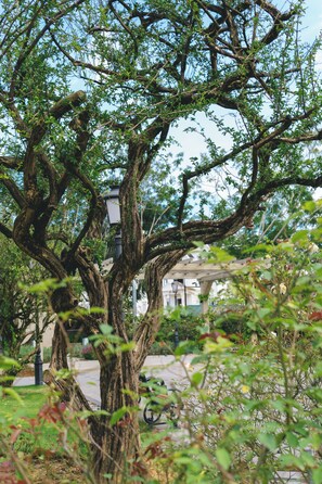 View from property - Mercure Dalat Resort (Da Lat)