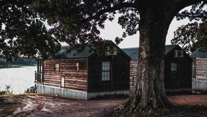 Una cabaña rústica con un gran árbol en primer plano, un muelle que se adentra en el agua y un cielo despejado.
