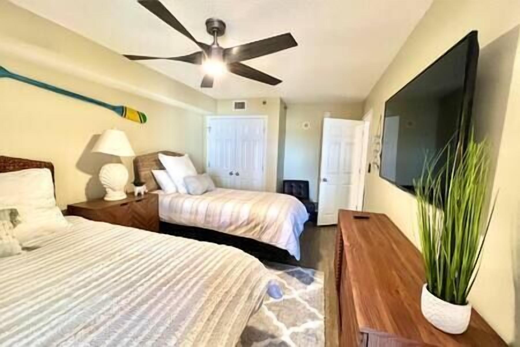 A bedroom with two beds, a ceiling fan, a TV, and a potted plant.
