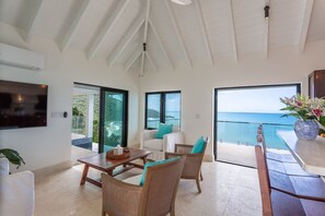 42-英寸智能电视（配备有线频道）、电视、玩具