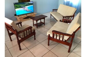 Televisión 