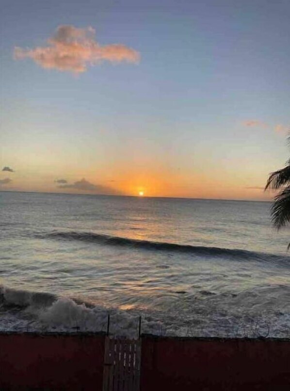 Enjoy a tranquil beachside escape with a view of the calm sea.
