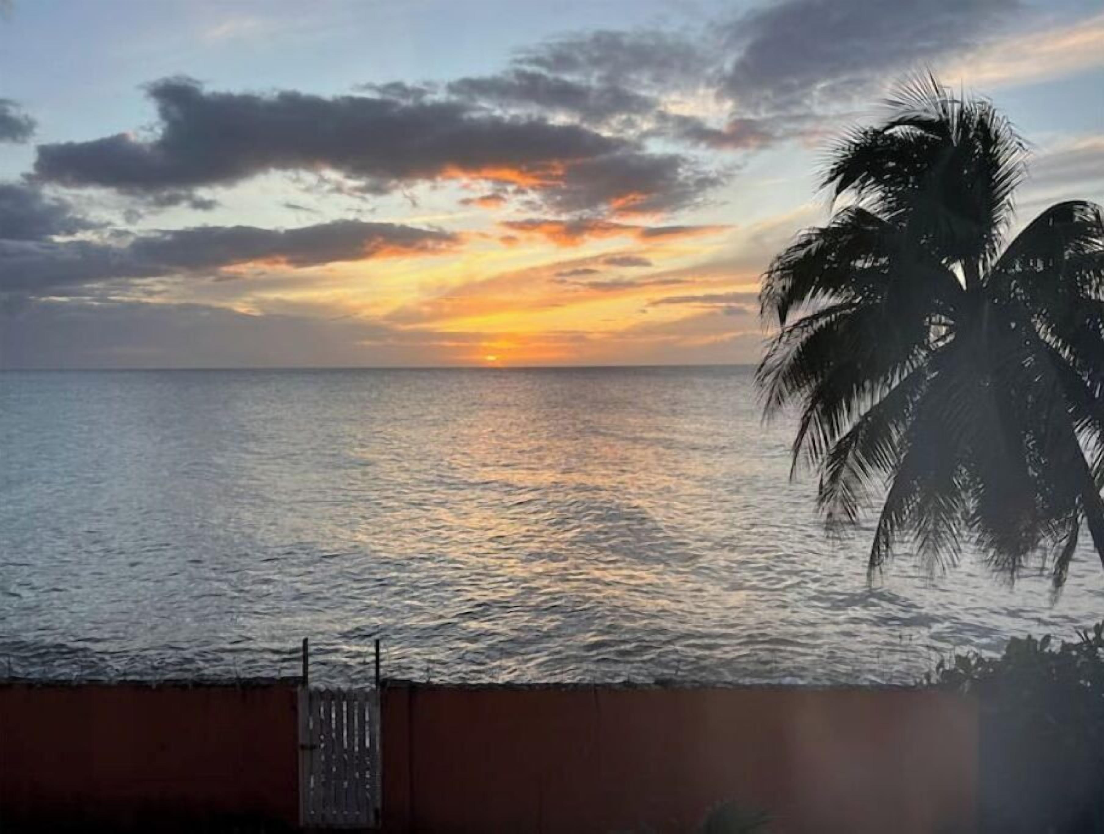 Ein Sonnenuntergang über dem Meer mit einer Silhouette einer Palme.