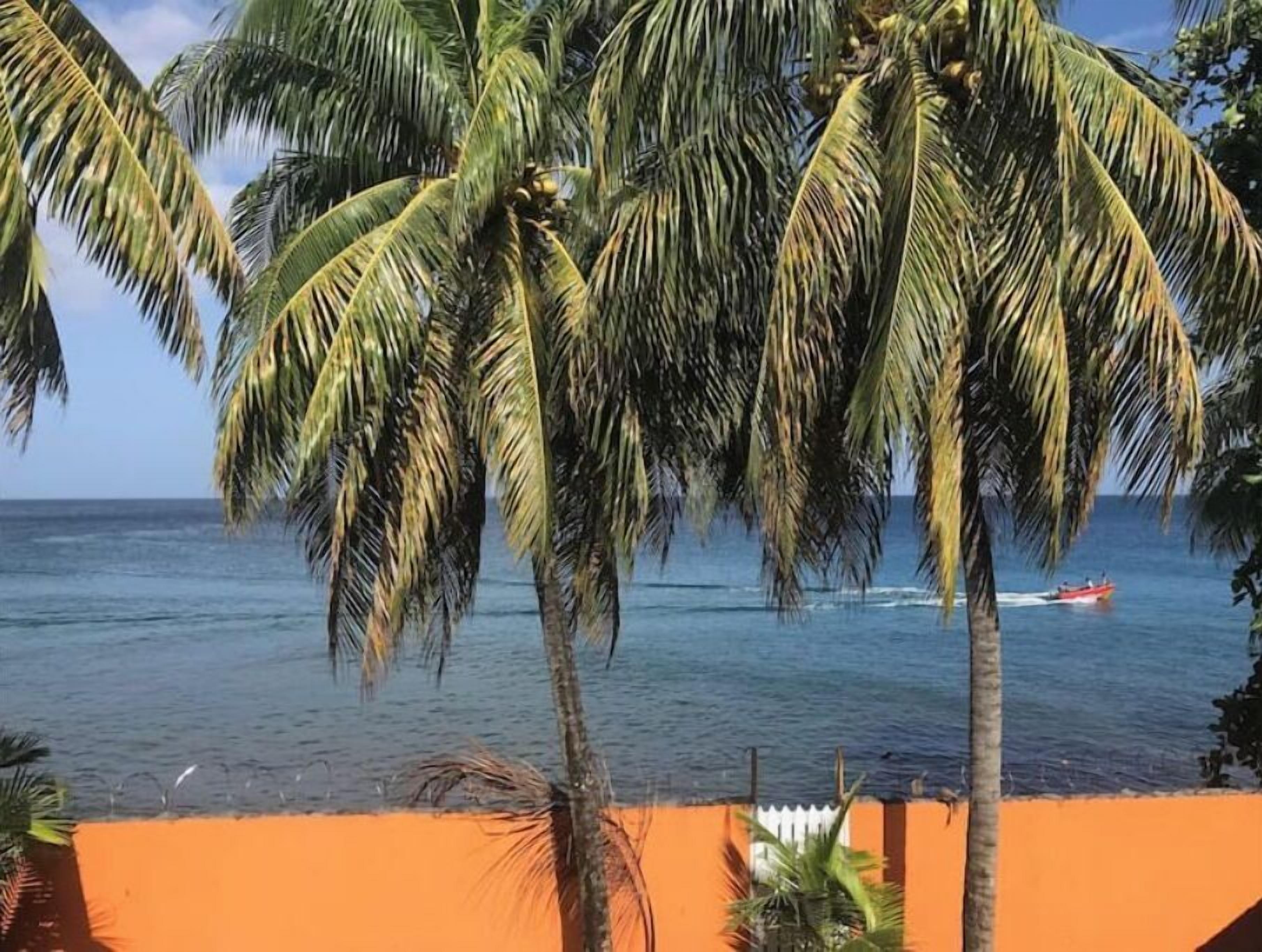 A view of a beach with palm trees and a boat in the water.