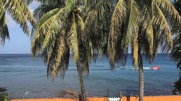 A view of a beach with palm trees and a boat in the water.