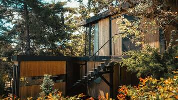 Kamar Mewah | Seprai katun Mesir, seprai premium, busa memori, dan minibar