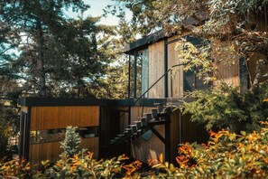 Habitación de lujo | Sábanas de algodón egipcio y ropa de cama de alta calidad 