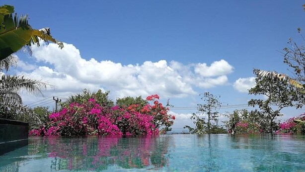 A clear swimming pool with a view of pink flowers and trees in the background. - NEW Stunning 3 bed Luxury Balinese Villa with Panoramic Ocean Views and Pool (Bali)
