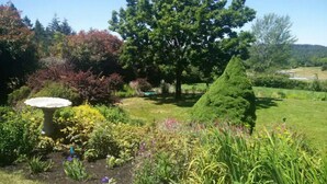 Un jardin où l’on trouve une variété de plantes, un abreuvoir pour oiseaux et une pelouse bien entretenue.